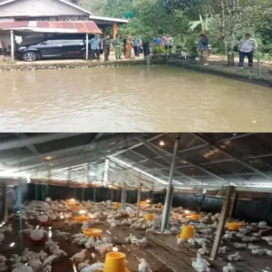 Pemdes Gandung Baru Gelar Monev 40% Tahap Pertama Pemdes Gandung Baru Gelar Monev 40% Tahap Pertama