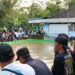 Perayaan HUT RI, Bacaleg Nasdem Ciput Jianto Ikut Sukseskan Lomba Mancing Gratis