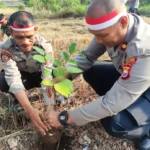 Perayaan HUT RI, Polres Mukomuko Tanam 1000 Bibit Pohon