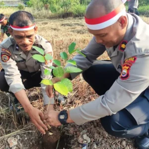 Perayaan HUT RI, Polres Mukomuko Tanam 1000 Bibit Pohon