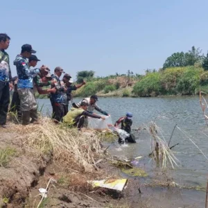 Peringati HUT RI, PMT Tegal Lakukan Penyebaran Bibit Ikan