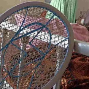 Selain Banyak Nyamuk RSMY Ternyata Sudah Sering Dikeluhkan, Gubernur dan Dinkes? Selain Banyak Nyamuk RSMY Ternyata Sudah Sering Dikeluhkan, Gubernur dan Dinkes?