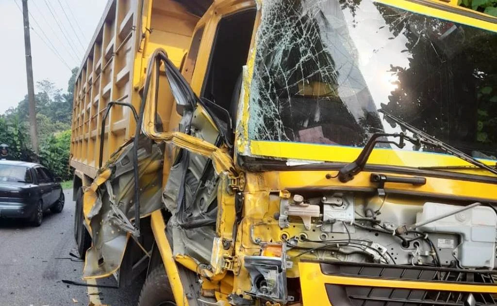 Tak Sempat Menghindar Truk Muatan Besi Adu Kambing