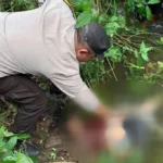 Bocah Perempuan 9 Tahun Akhirnya Ditemukan, Beberapa Anggota Tubuh Hilang