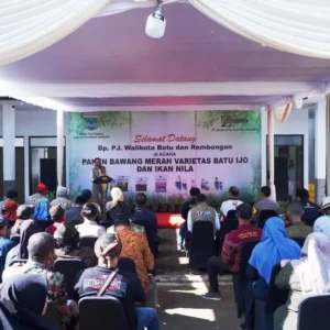 Cegah Inflasi, Pj Wali Kota Batu Panen Bawang Merah dan Ikan Nila