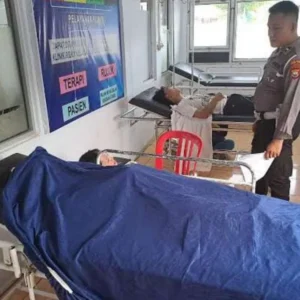 Ditabrak Mini Bus, Siswa SD Meninggal Dunia