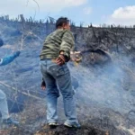 Ditemukan 5 Titik Api Lahan Terbakar, 3 Desa Kena Imbas