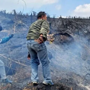Ditemukan 5 Titik Api Lahan Terbakar, 3 Desa Kena Imbas Ditemukan 5 Titik Api Lahan Terbakar, 3 Desa Kena Imbas