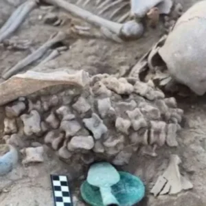Gadis dari Zaman Perunggu Ditemukan dalam Makam Misterius di Kazakhstan Gadis Zaman Perunggu Ditemukan dalam Makam Misterius di Kazakhstan