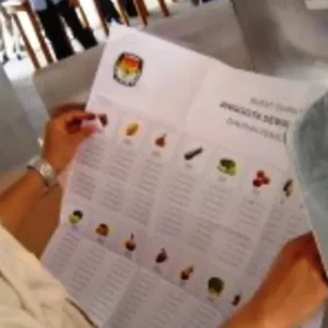Jenis Tindak Pidana Pemilu di Indonesia, Kamu Harus Tau