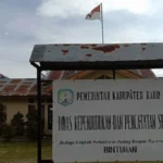 Kebakaran Kebun Sawit Dibelakang Kantor Dukcapil Kaur Hebohkan Warga Sekitar