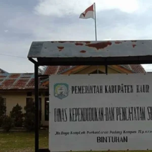 Kebakaran Kebun Sawit Dibelakang Kantor Dukcapil Kaur Hebohkan Warga Sekitar
