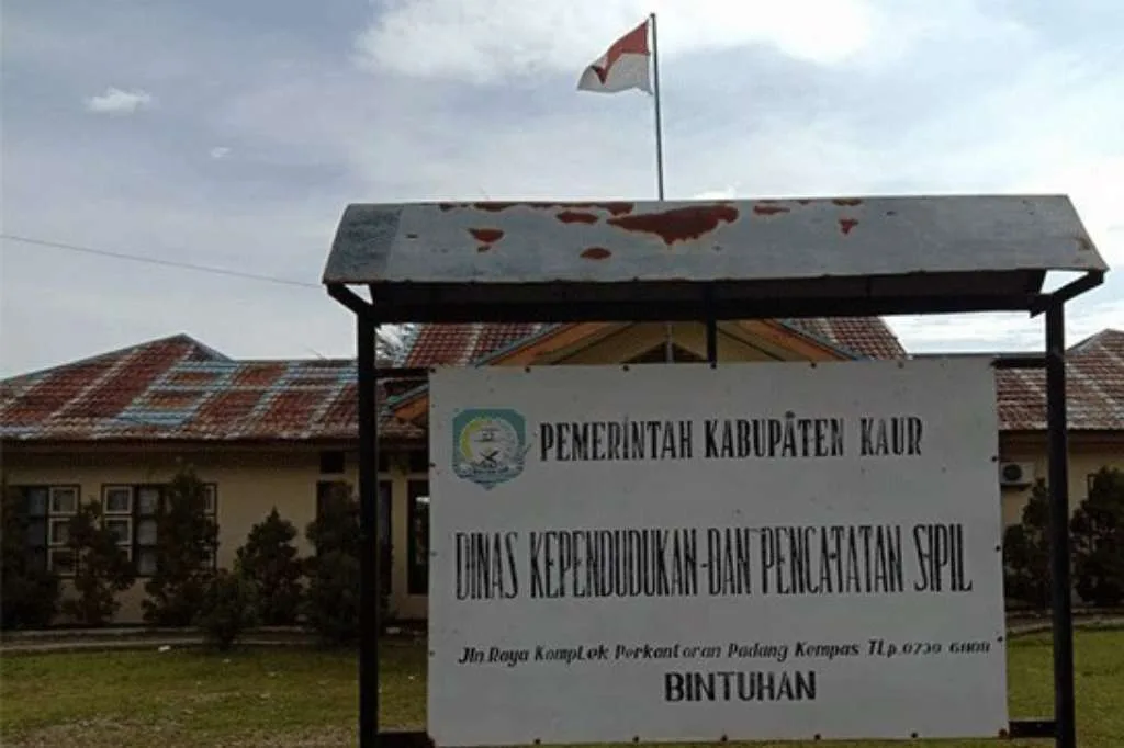 Kebakaran Kebun Sawit Dibelakang Kantor Dukcapil Kaur Hebohkan Warga Sekitar
