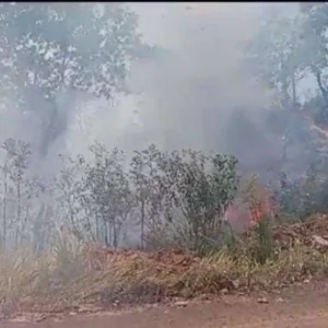 Lahan di Air Sebakul Terbakar, Warga Berhasil Padamkan Sendiri 