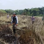 Lahan Gambut Seluas 200 Hektare di Pulau Enggano Terbakar