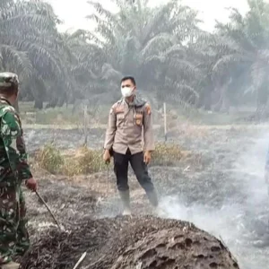Lahan Sengketa CV Edi Mulya Karya Vs Warga Hingga Kini Masih Terbakar Lahan Sengketa CV Edi Mulya Karya Vs Warga Hingga Kini Masih Terbakar