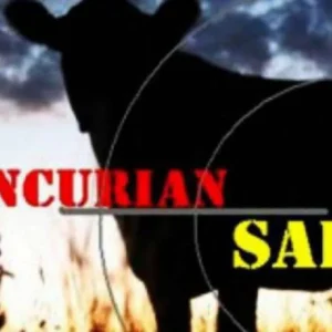 Pencuri Sapi di Mukomuko Beraksi Menggunakan Granmax Hitam