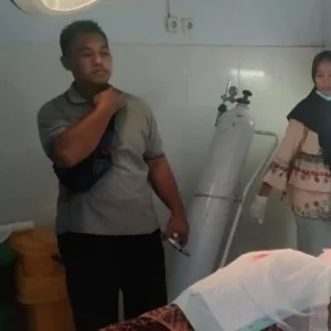 Pulang Hadiri Wisuda, Warga Pagar Alam Adu Kambing Dengan Minibus Pulang Hadiri Wisuda, Warga Pagar Alam Adu Kambing Dengan Minibus