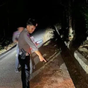 Bacaleg Partai Gelora Meninggal Setelah Hadiri Pesta Pernikahan