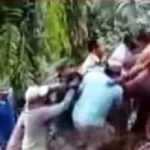 Cari Sesuap Nasi, Warga BU Malah Tertimpa TBS