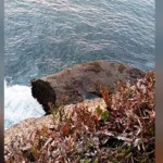 Dua Hari Hilang di Pantai Sioro, Warga Jawa Timur Belum Ditemukan
