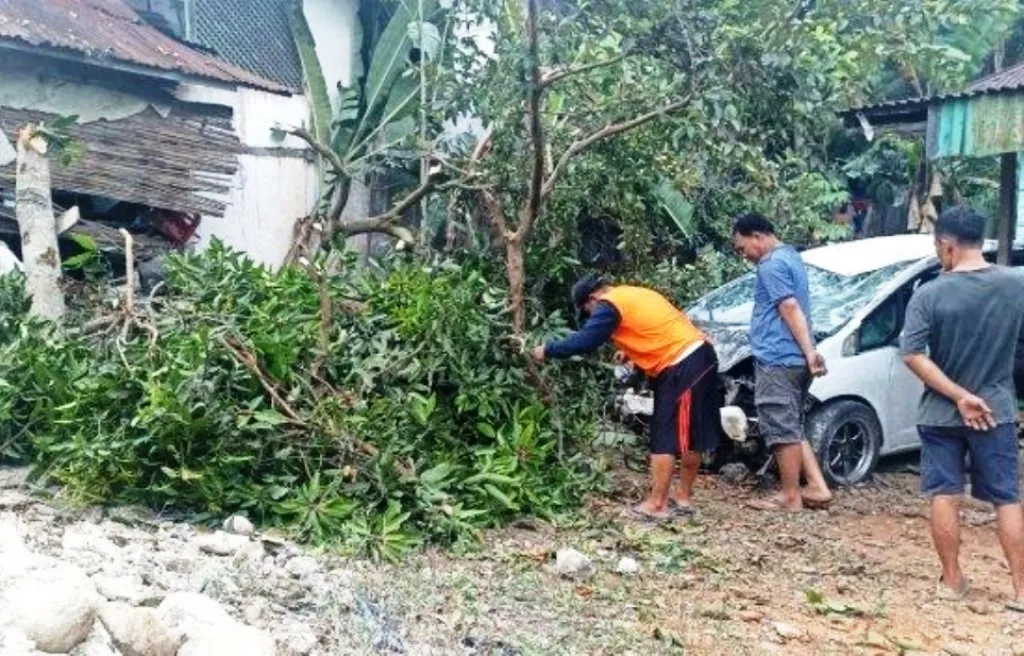 Melaju Kencang, Honda Jazz Tabrak Pohon Warga Benteng