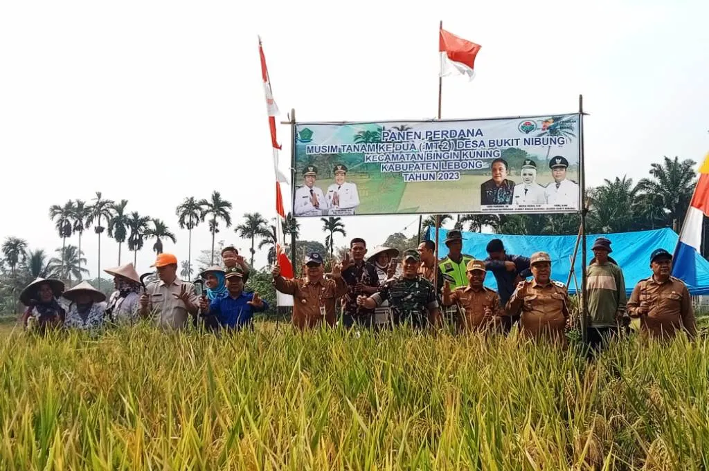 Panen Perdana di Desa Bukit Nibung, Fahrurozi Dorong Masyarakat Optimis Ikuti Mt-2