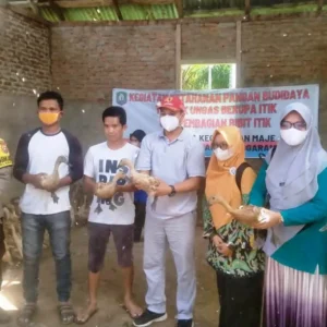 Pemerintah Desa Pardasuka Giat Kembangkan Usaha Peternakan Bebek untuk Ketahanan Pangan