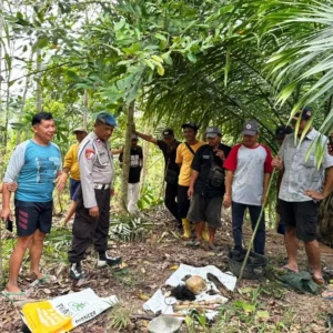 Penemuan Tengkorak Manusia Gegerkan Warga Desa Siring Agung