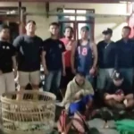 Petugas Lepaskan Tembakan, Peserta Judi Sabung Ayam Langsung Kocar-Kacir Melarikan Diri