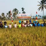 Sejahterakan Masyarakat, Pemerintah Kabupaten Lebong Sukses Laksanakan Program MT-2