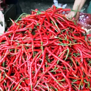 Selain Beras, Harga Beberapa Bahan Pangan Ini Juga Alami Kenaikan Harga Pangan Naik: Beras dan Daging Meningkat, Cabai Turun