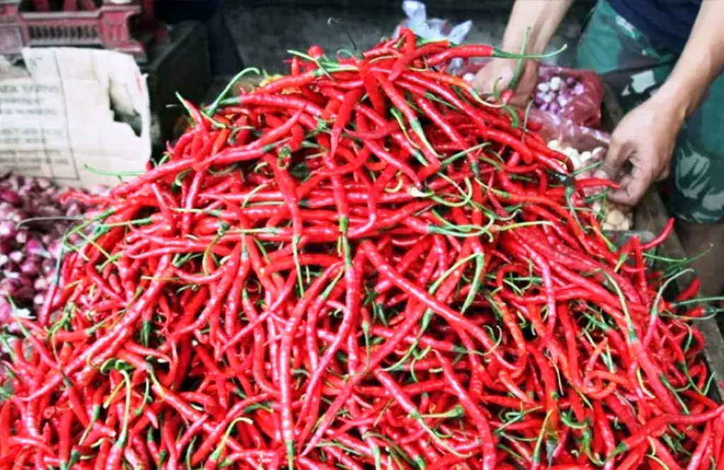 Selain Beras, Harga Beberapa Bahan Pangan Ini Juga Alami Kenaikan Harga Pangan Naik: Beras dan Daging Meningkat, Cabai Turun