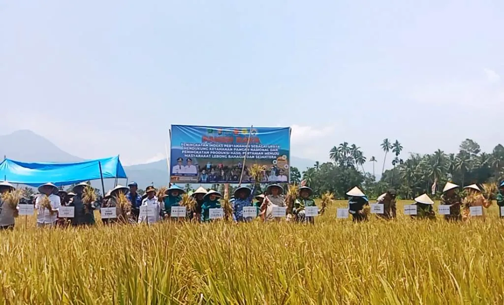 Sering Dianggap Mitos, Pemkab Lebong Berhasil Dalam Program Musim Tanam 2 Kali