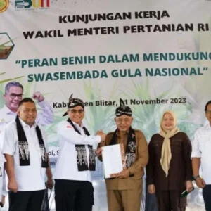 Bupati Malang Terima SK Pelepasan Varietas Tebu Pringu 1201 dari Wamen Pertanian Bupati Malang Terima SK Pelepasan Varietas Tebu Pringu 1201 dari Wamen Pertanian