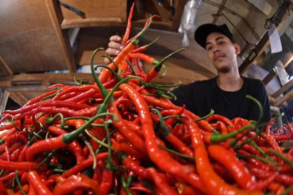 Harga Cabai Melonjak Tajam, Ini Kata 2 Menteri Presiden Jokowi Harga Pangan Naik Drastis: Cabai, Beras, dan Daging Terdampak Harga Komoditas Pangan Naik: Beras, Bawang, Cabai, dan Daging Meningkat