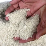 Harga Pangan Beras Selalu Melonjak Jelang Akhir Tahun, Direktur CORE Sebut Ini Alasannya