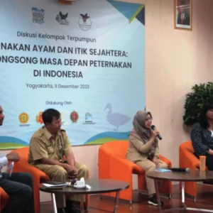 AFJ Inisiasi Diskusi Kesejahteraan Ayam dan Itik Petelur, Langkah Strategis Menuju Perubahan
