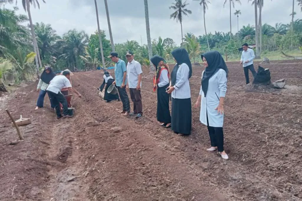 Pemdes Gedung Agung Tingkatkan Ketahanan Pangan dengan Penanaman Cabe