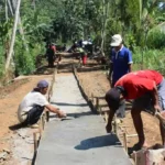Pemerintah Desa Selorejo Tingkatkan Infrastruktur Jalan untuk Akses Lebih Baik