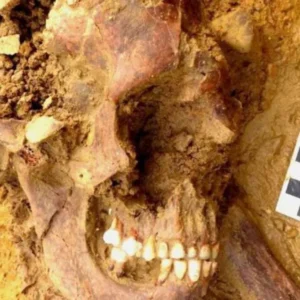 Penemuan Pemuda Sarmatia Abad ke-1, Terungkap Melalui Detektif DNA Penemuan Pemuda Sarmatia Abad ke-1, Terungkap Melalui Detektif DNA