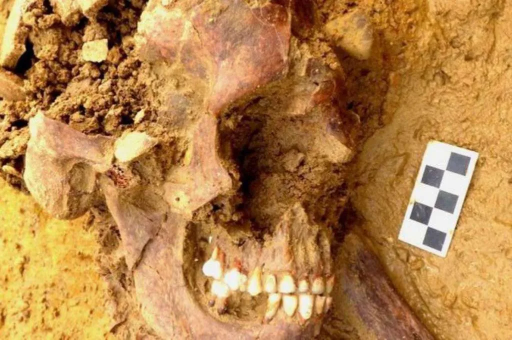 Penemuan Pemuda Sarmatia Abad ke-1, Terungkap Melalui Detektif DNA