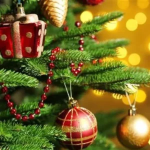 Tak Hanya Sekedar Hiasan, ini Makna Ornamen di Pohon Natal Ide Ucapan Natal yang Hangat dan Berkesan