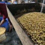 Keterlambatan Impor, Picu Kelangkaan dan Potensi Kenaikan Harga Kedelai Indonesia