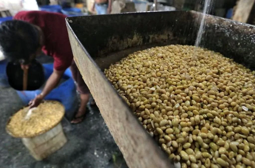 Keterlambatan Impor, Picu Kelangkaan dan Potensi Kenaikan Harga Kedelai Indonesia