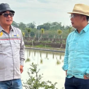 Ridwan Kamil Dukung Terobosan Agribisnis, Kertajati Family Farm & Education Park