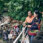 Bangkit Pasca Pandemi, Wamenparekraf Apresiasi Kebun Binatang Surabaya