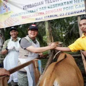 Gubernur Rohidin Dorong Riak Siabun Jadi Lumbung Pengembangan Ternak Provinsi Bengkulu Gubernur Rohidin Dorong Riak Siabun Jadi Lumbung Pengembangan Ternak Provinsi Bengkulu