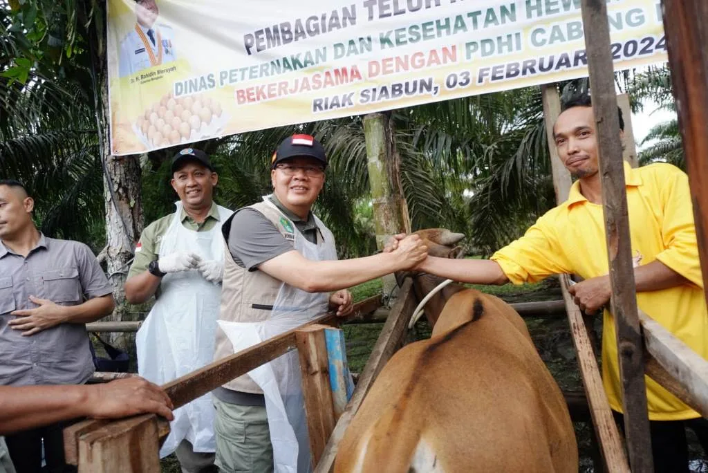Gubernur Rohidin Dorong Riak Siabun Jadi Lumbung Pengembangan Ternak Provinsi Bengkulu