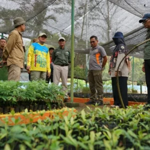 Gubernur Rohidin Mersyah Ajak Masyarakat Ikut Andil Rehabilitasi Hutan